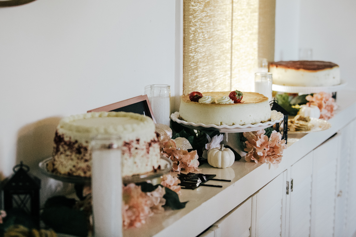 hudson valley airbnb wedding Elopement Photographer in catskills