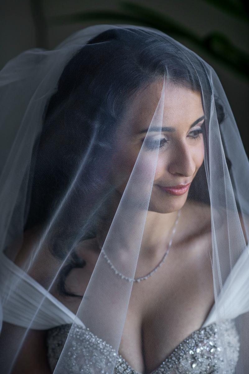 bridal portrait by window light hudosn valley bride portrait with veil