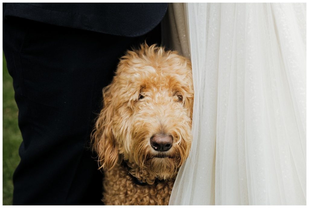 A Fall New Paltz Airbnb Wedding 17 hudson valley wedding christine ashburn photography 0009