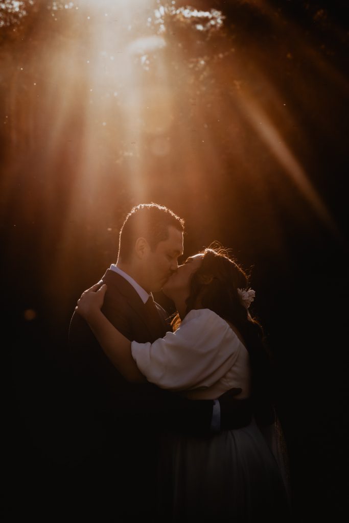 Central Park Schenectady Elopement & Micro Wedding Guide: A Romantic Rose Garden Ceremony 9 Rose Garden Central Park Schenectady wedding