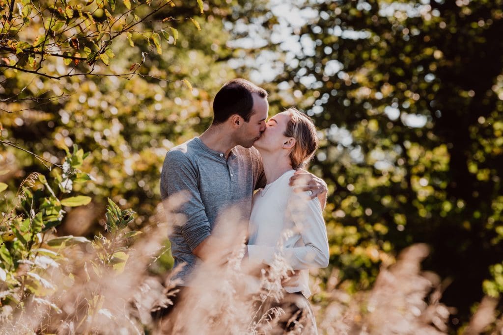 olana proposal