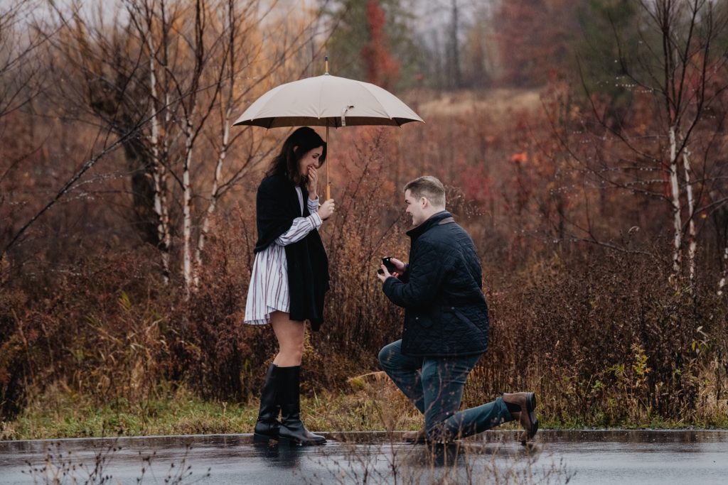 wildflower farms proposal