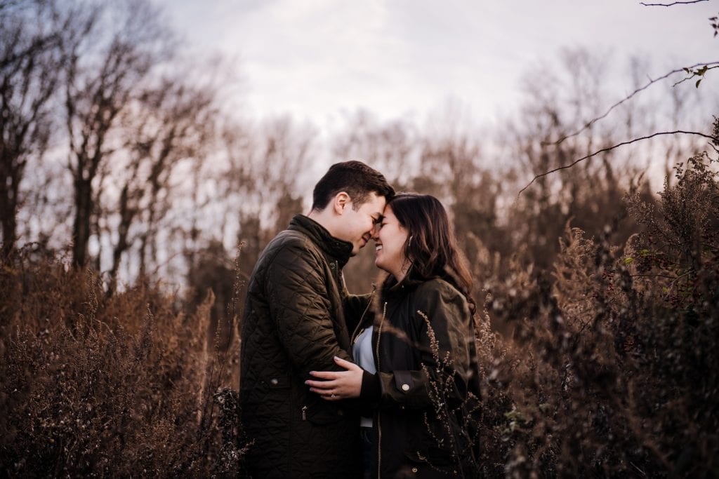 hudson valley proposal at cold spring ny